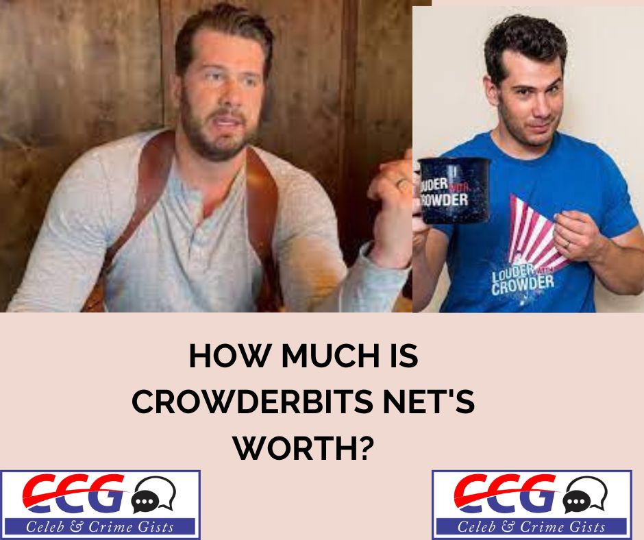 How Much Is CrowderBits Net's Worth?