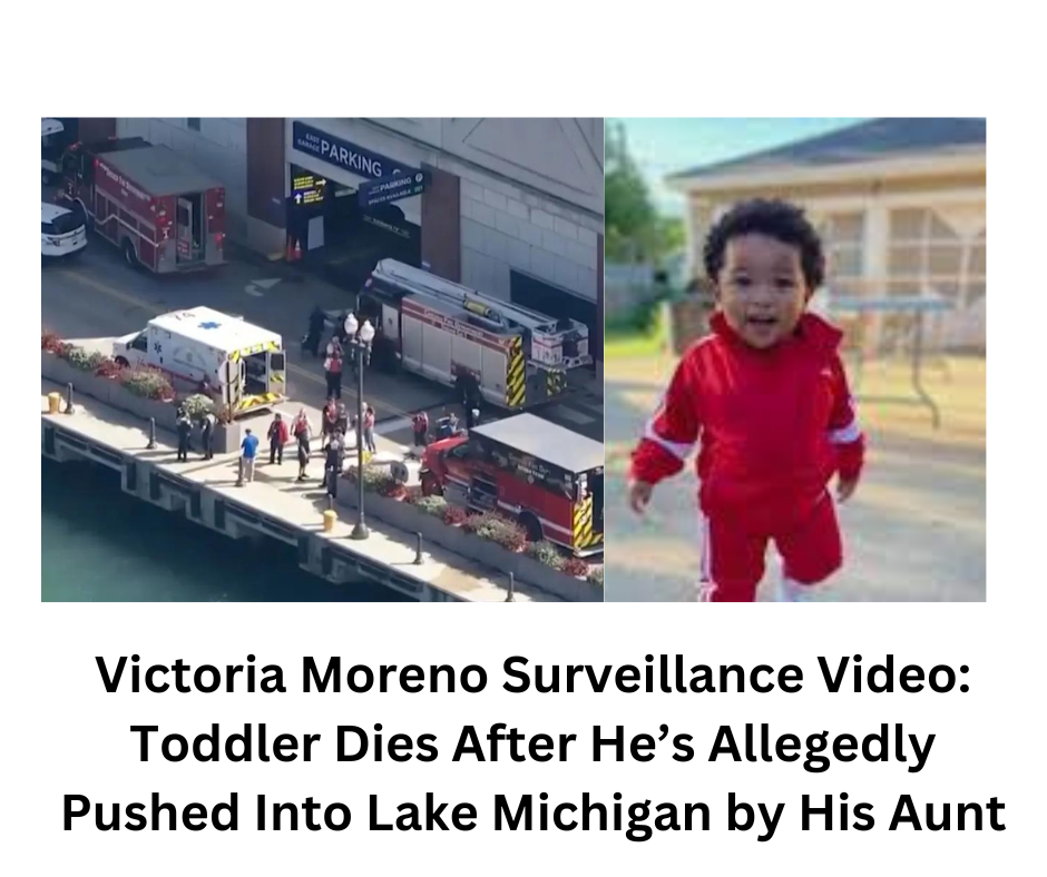 Victoria Moreno Surveillance Video: Toddler Dies After He’s Allegedly Pushed Into Lake Michigan by His Aunt