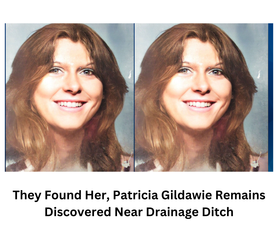 They Found Her, Patricia Gildawie Remains Discovered Near Drainage Ditch