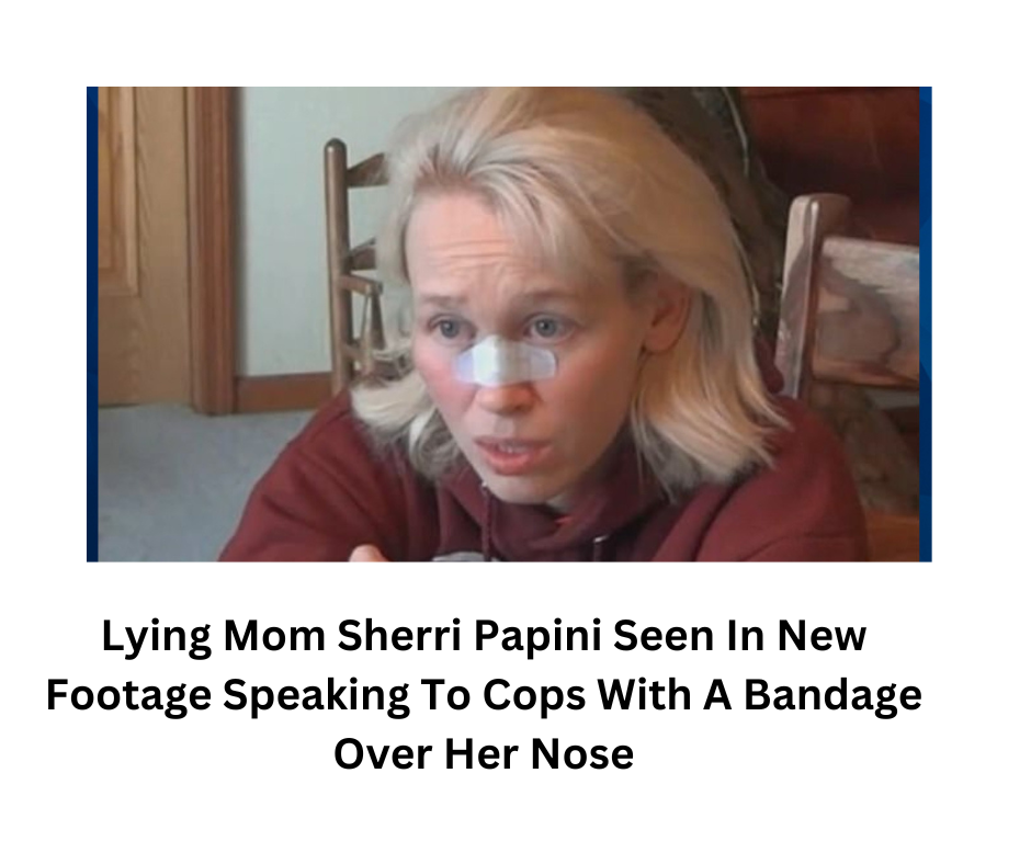 Lying Mom Sherri Papini Seen In New Footage Speaking To Cops With A Bandage Over Her Nose