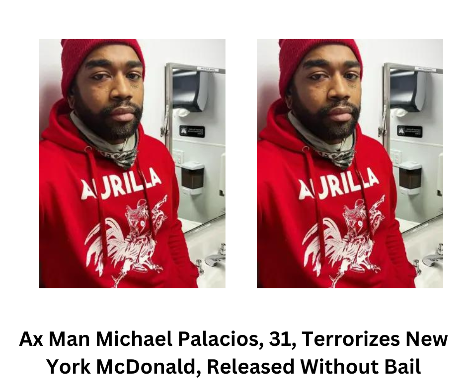 Ax Man Michael Palacios, 31, Terrorizes New York McDonald, Released Without Bail