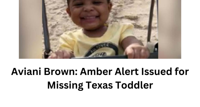 Aviani Brown: Amber Alert Issued For Missing Texas Toddler - Celeb And ...