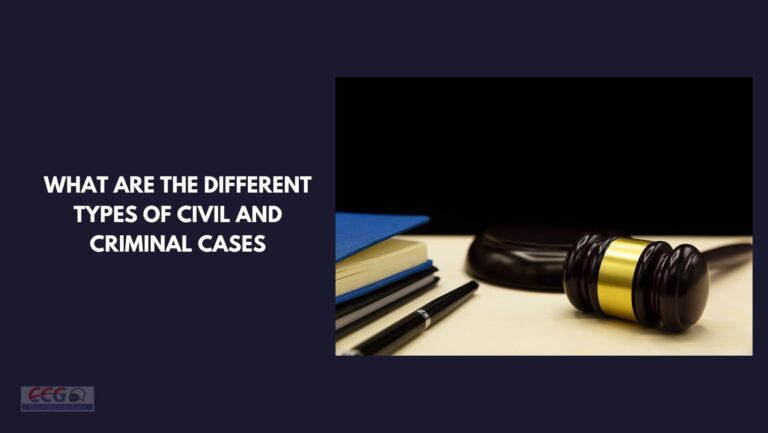 What are the different types of civil and criminal cases?