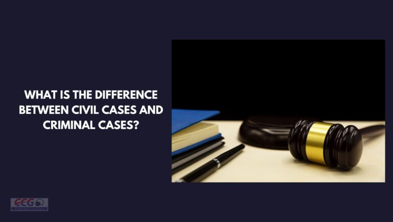 What is the difference between civil cases and criminal cases?