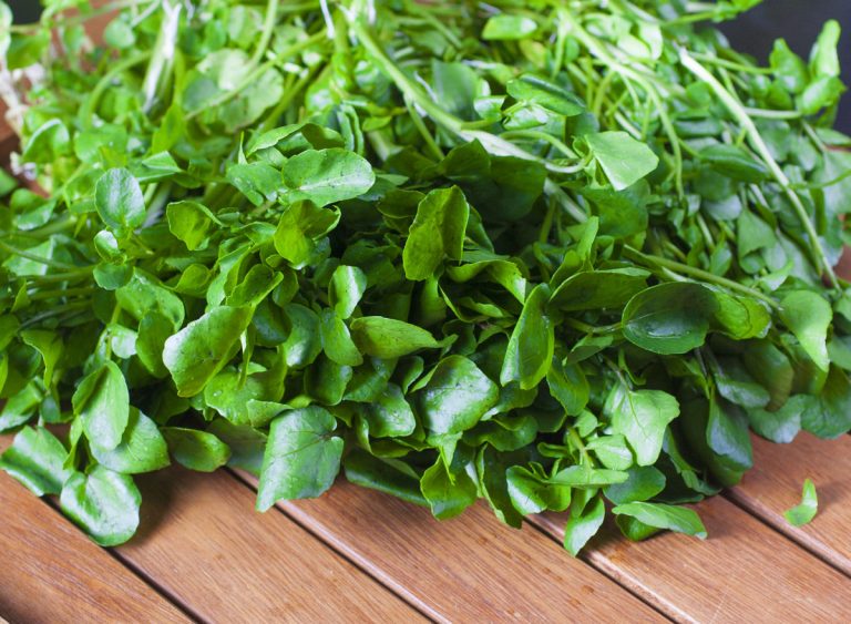 The 10 Benefits of Watercress, the ‘World’s Healthiest Vegetable’