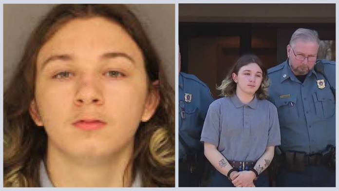 Pa. teen pleads guilty to killing 12-year-old girl, showing body on video chat