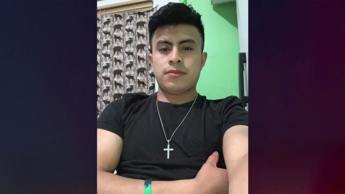 Family sues after man shredded to death in cemetery wood