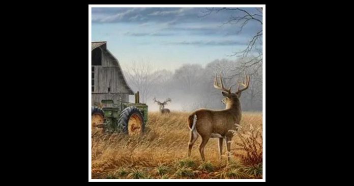 Obituary | Bruce 