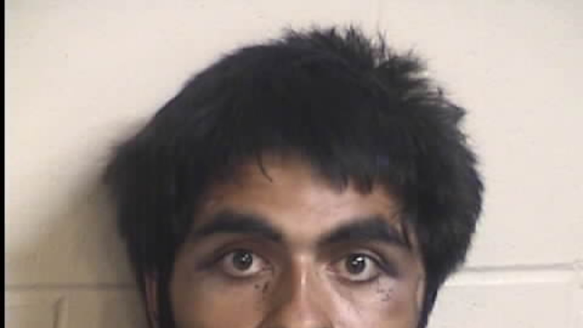 Nephew charged for allegedly fatally attacking aunt with machete at plant nursery